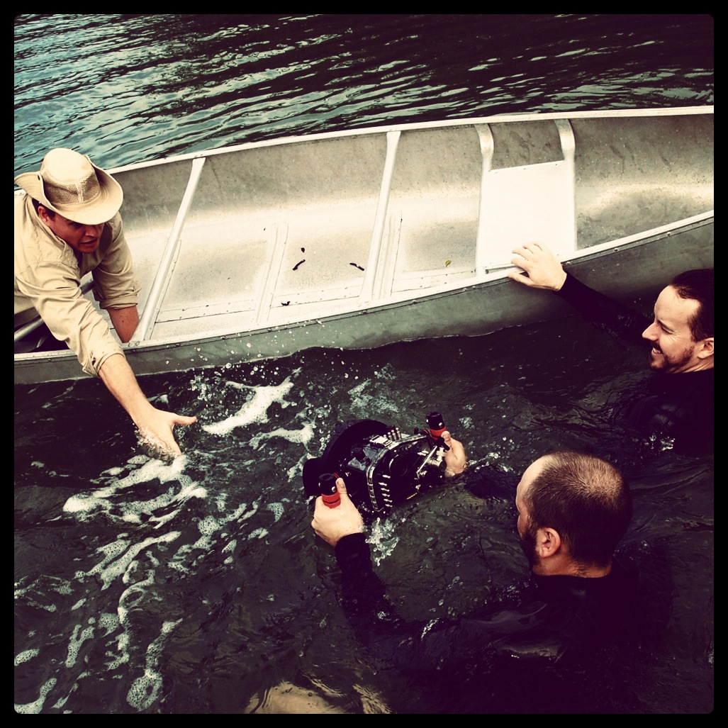 Shooting a hippo attack reenactment in the Florida everglades