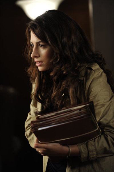 Still of Sarah Shahi in Fairly Legal (2011)