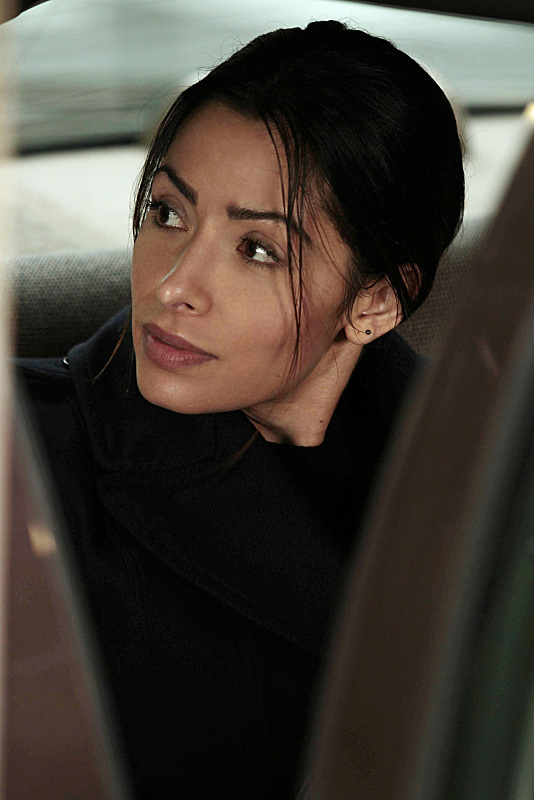 Still of Sarah Shahi in Person of Interest (2011)