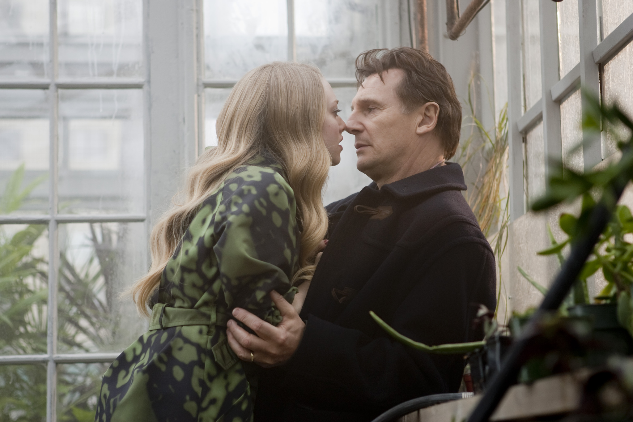 Still of Liam Neeson and Amanda Seyfried in Kloja (2009)