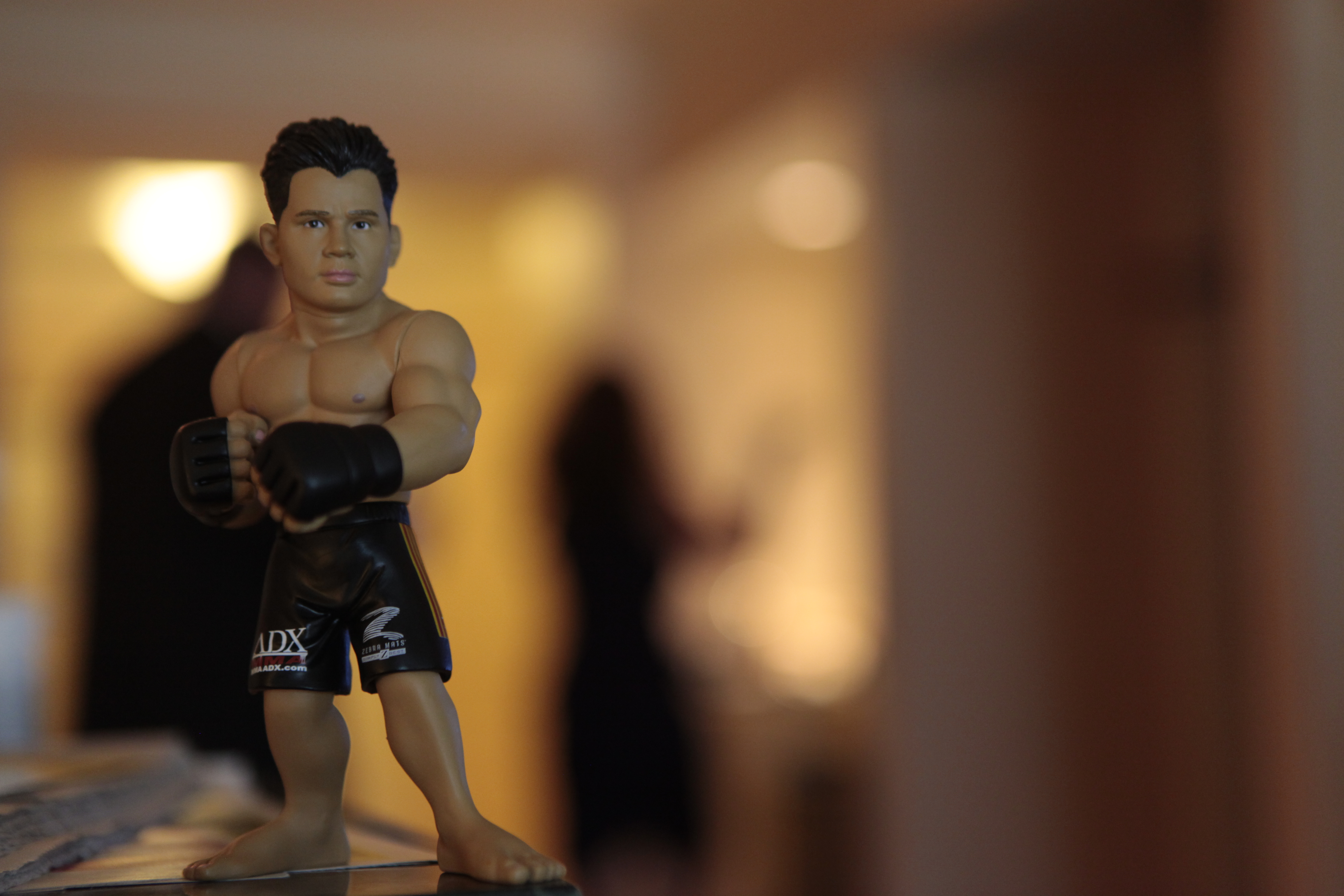 Cung Le action figure from Round 5