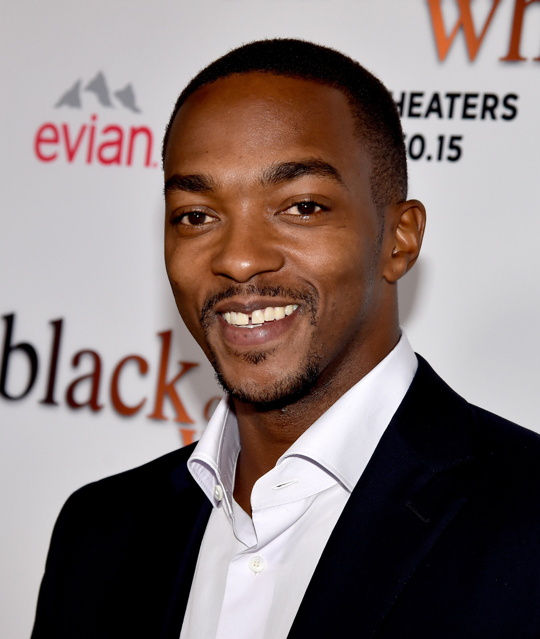 Anthony Mackie at event of Black or White (2014)