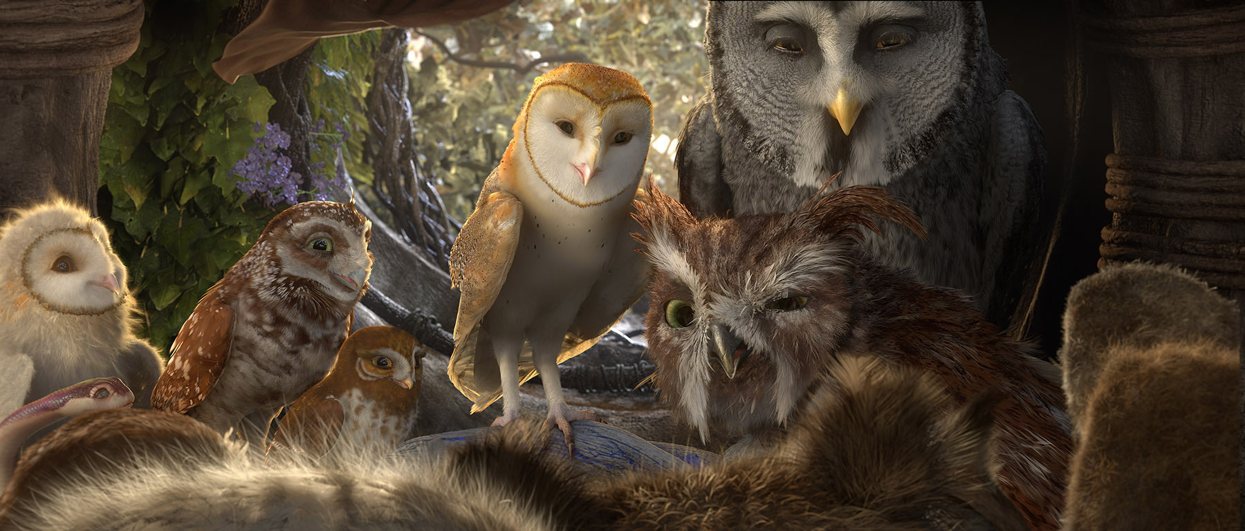 Still of Geoffrey Rush, Jim Sturgess, David Wenham and Emily Barclay in Legend of the Guardians: The Owls of Ga'Hoole (2010)