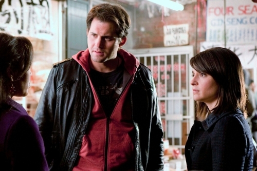 Still of Shiri Appleby, Lucia Walters and Kristoffer Polaha in Life Unexpected (2010)