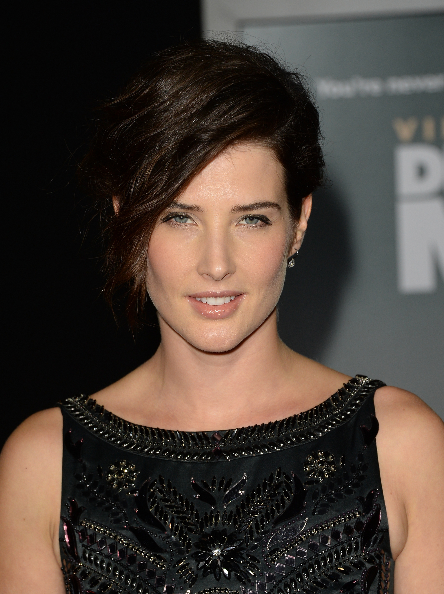 Cobie Smulders at event of Anoniminis tetis (2013)