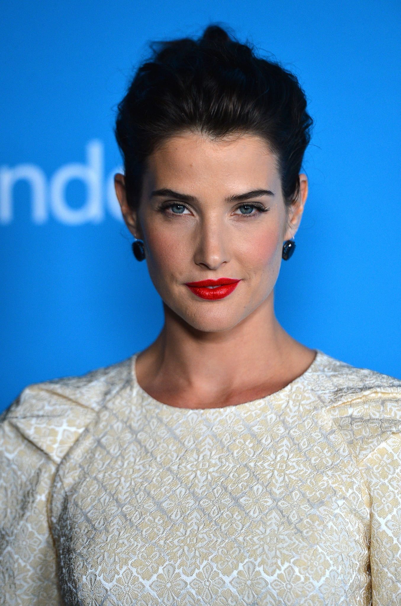 Cobie Smulders