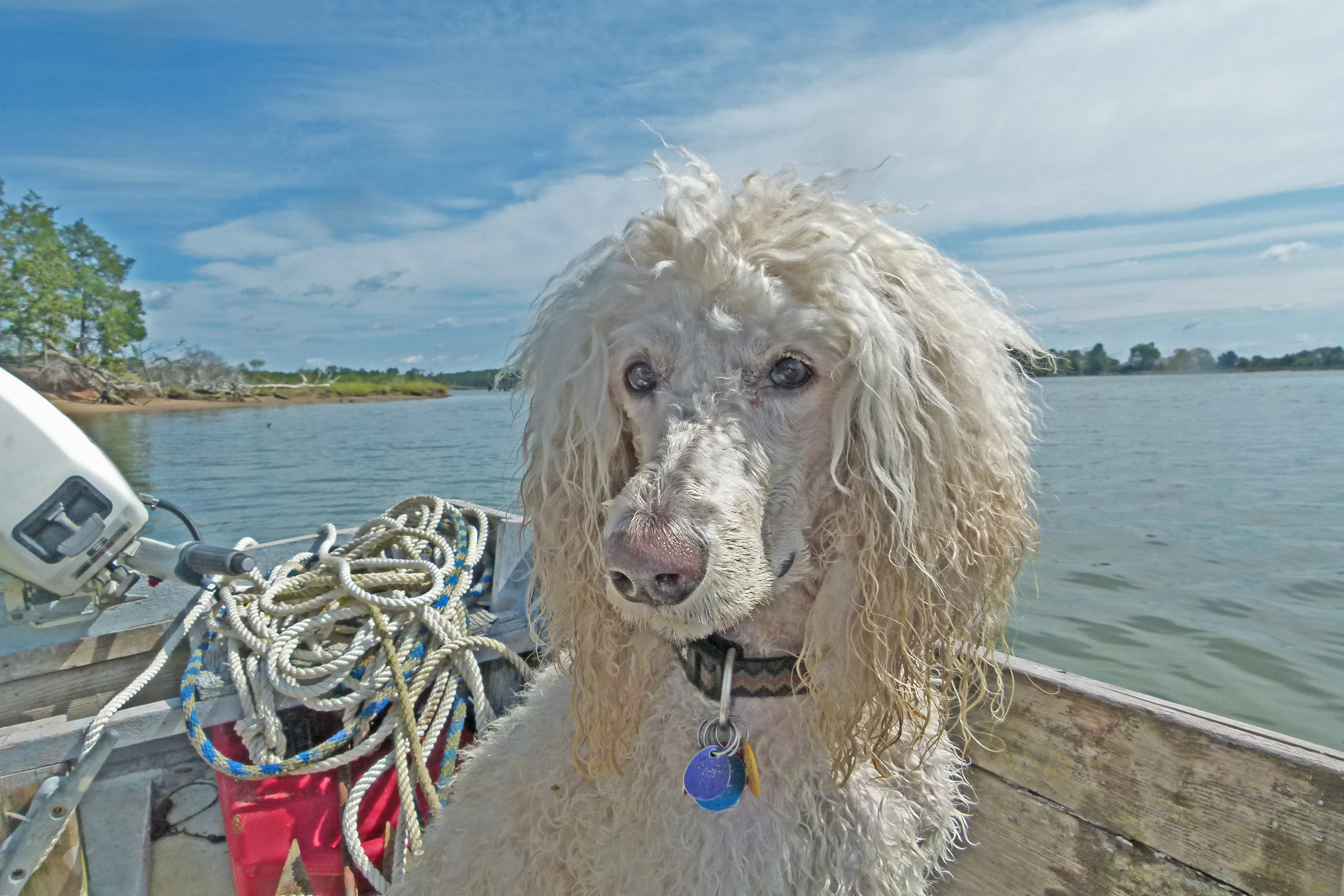 Rousseau Boating 2012