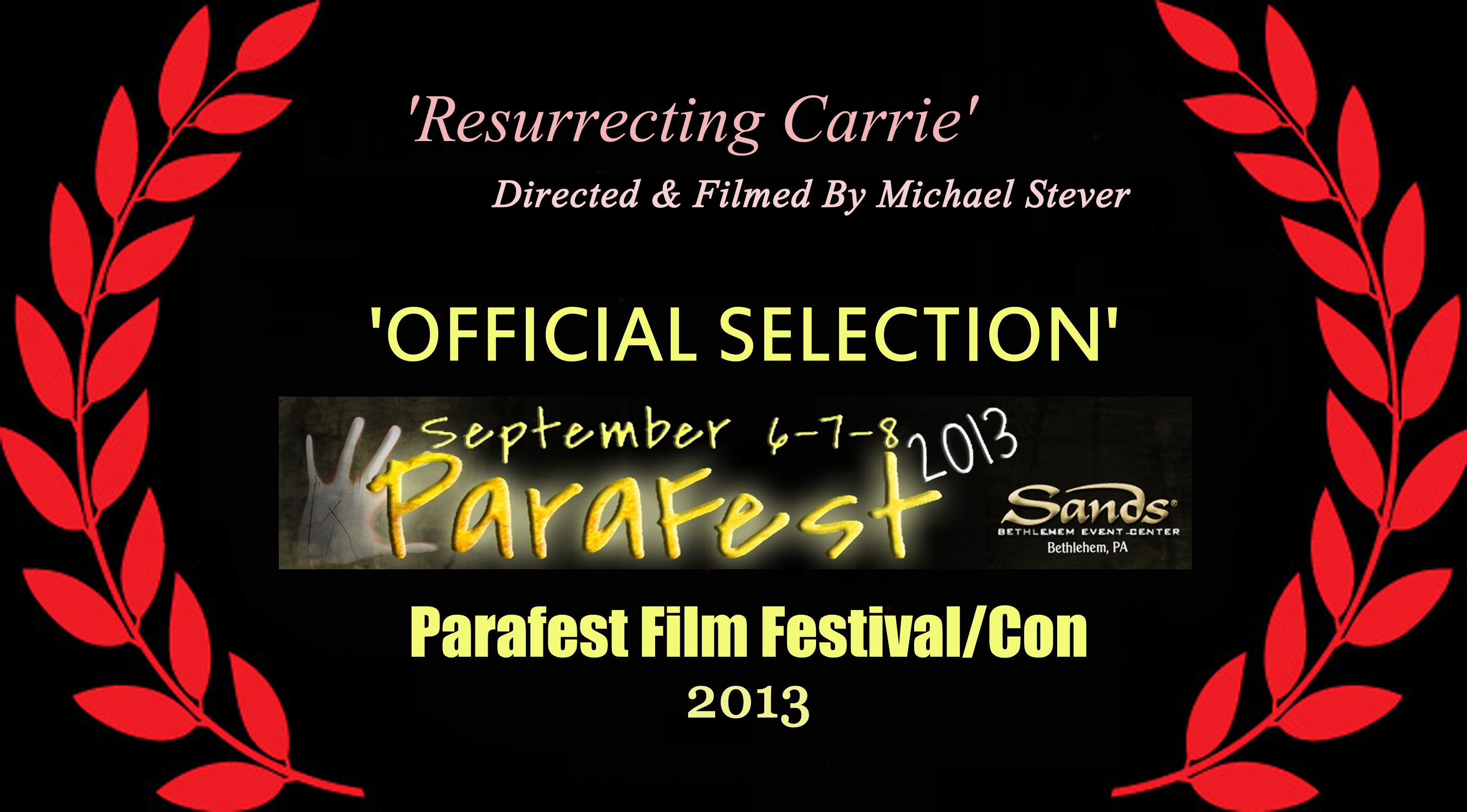 Official selection laurel for 'Para fest Film Festival/Convention' 2013