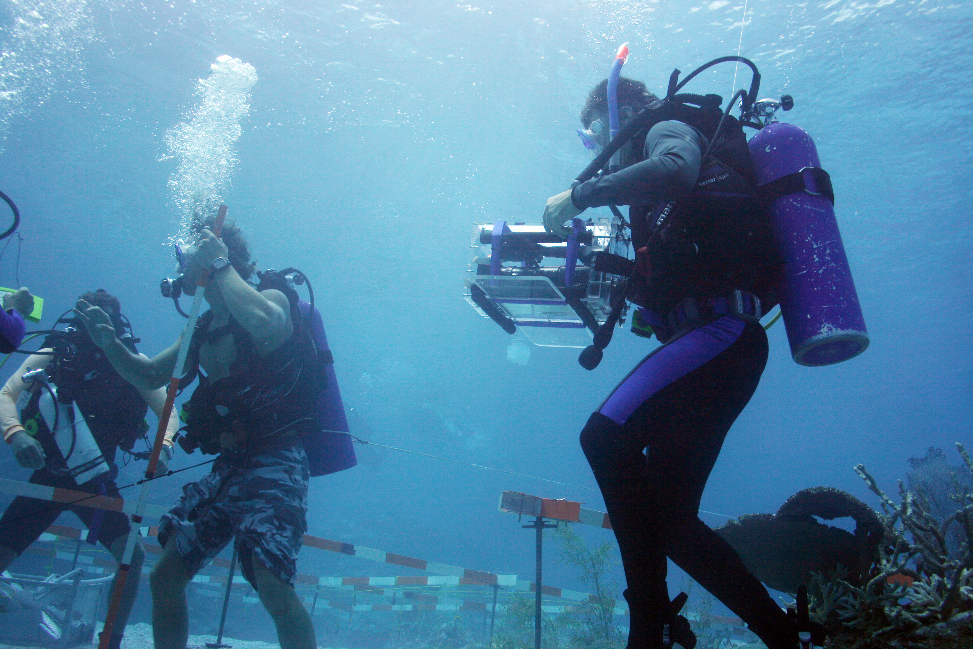 Fools Gold - Underwater Filming