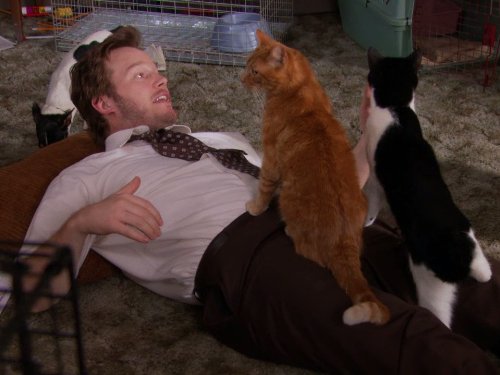 Still of Chris Pratt in Parks and Recreation (2009)