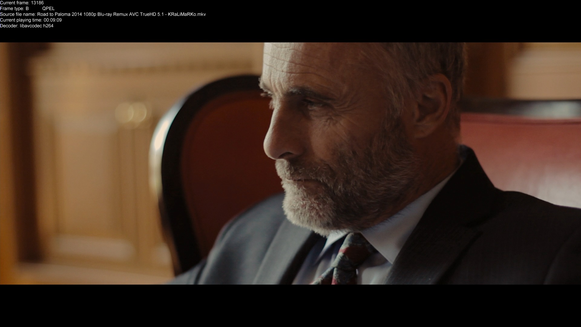 Timothy V Murphy as FBI agent Williams in Road to Paloma