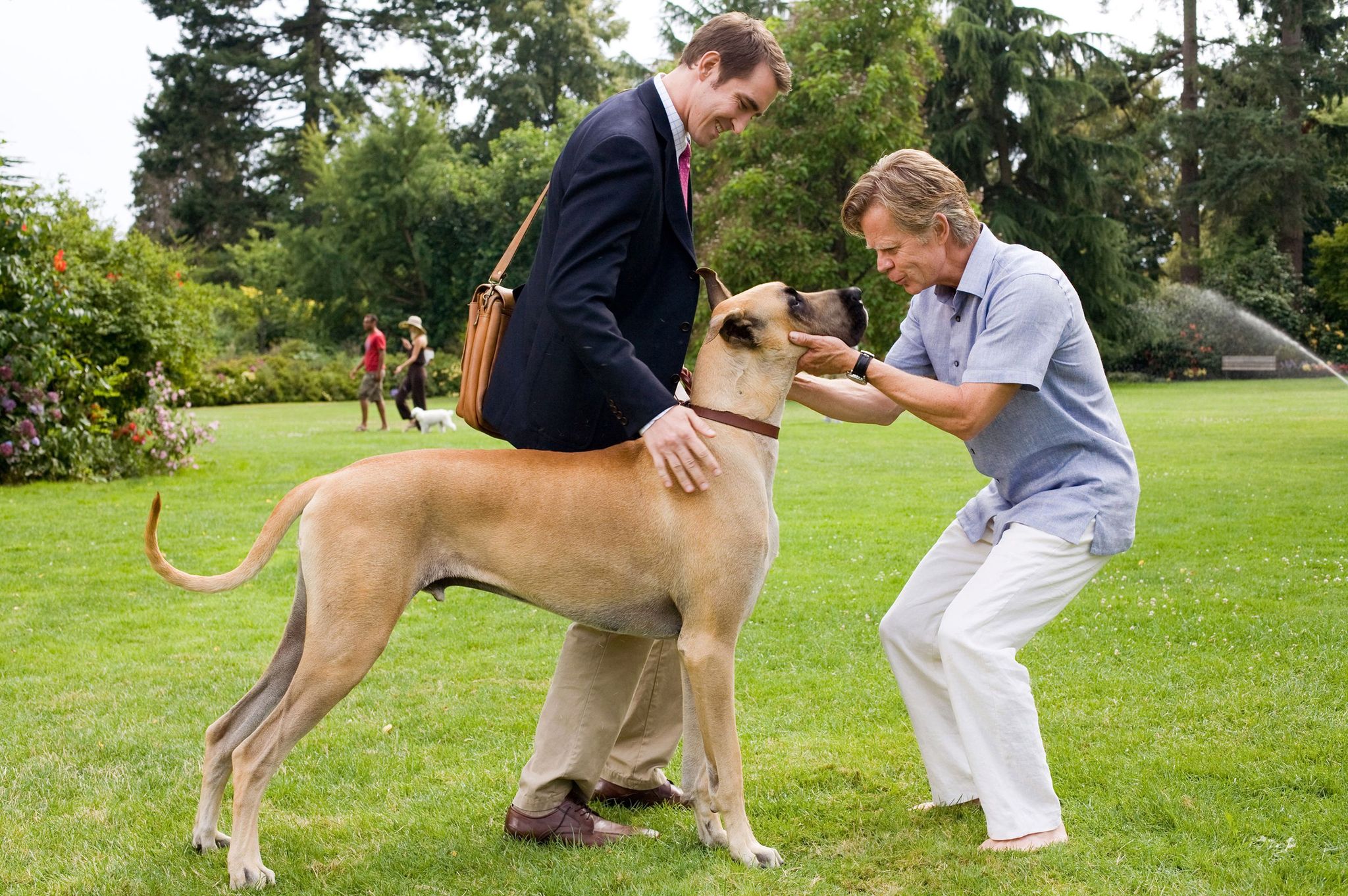 Still of William H. Macy and Lee Pace in Marmaduke (2010)