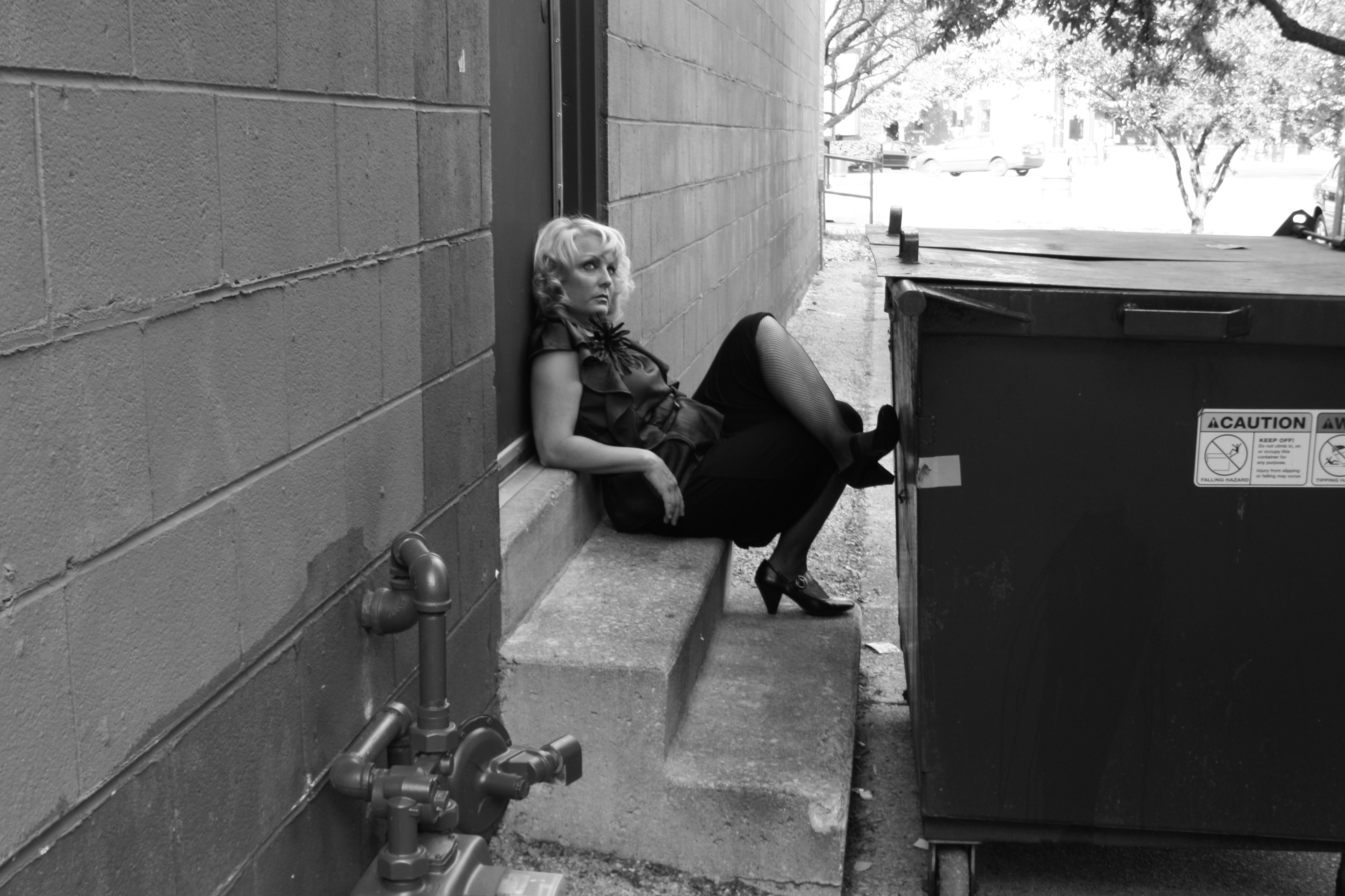 Suzanne Sole - The View from the Dumpster