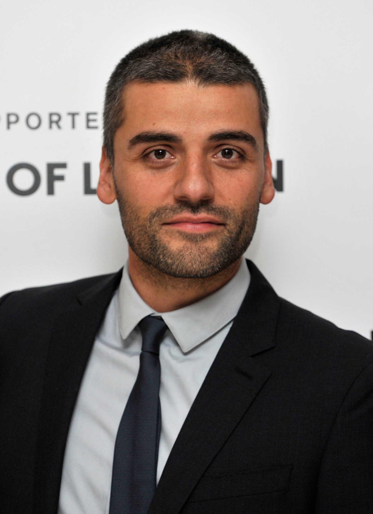 Oscar Isaac at event of Groja Liuvinas Deivisas (2013)