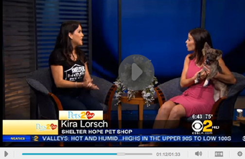 Kira Lorsch is the Shelter Hope Pet Shop Pets 2 Love Lady for CBS LA
