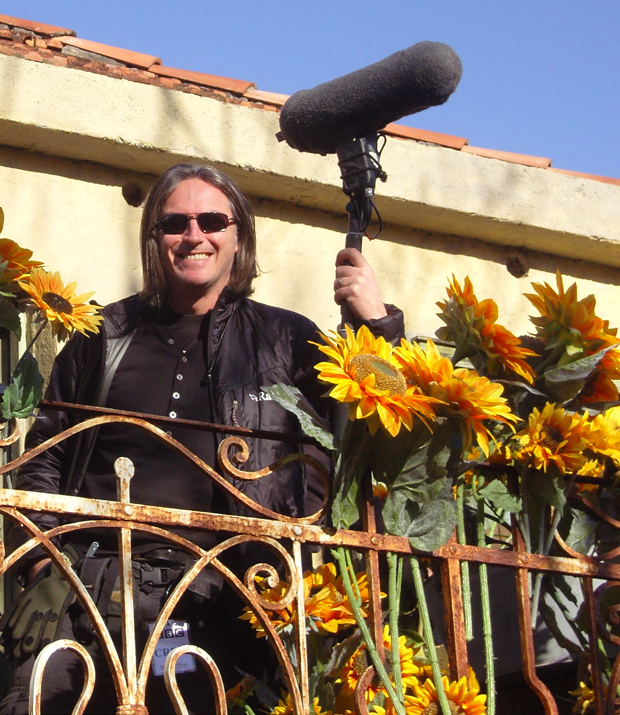 Sunflowers in Croatia