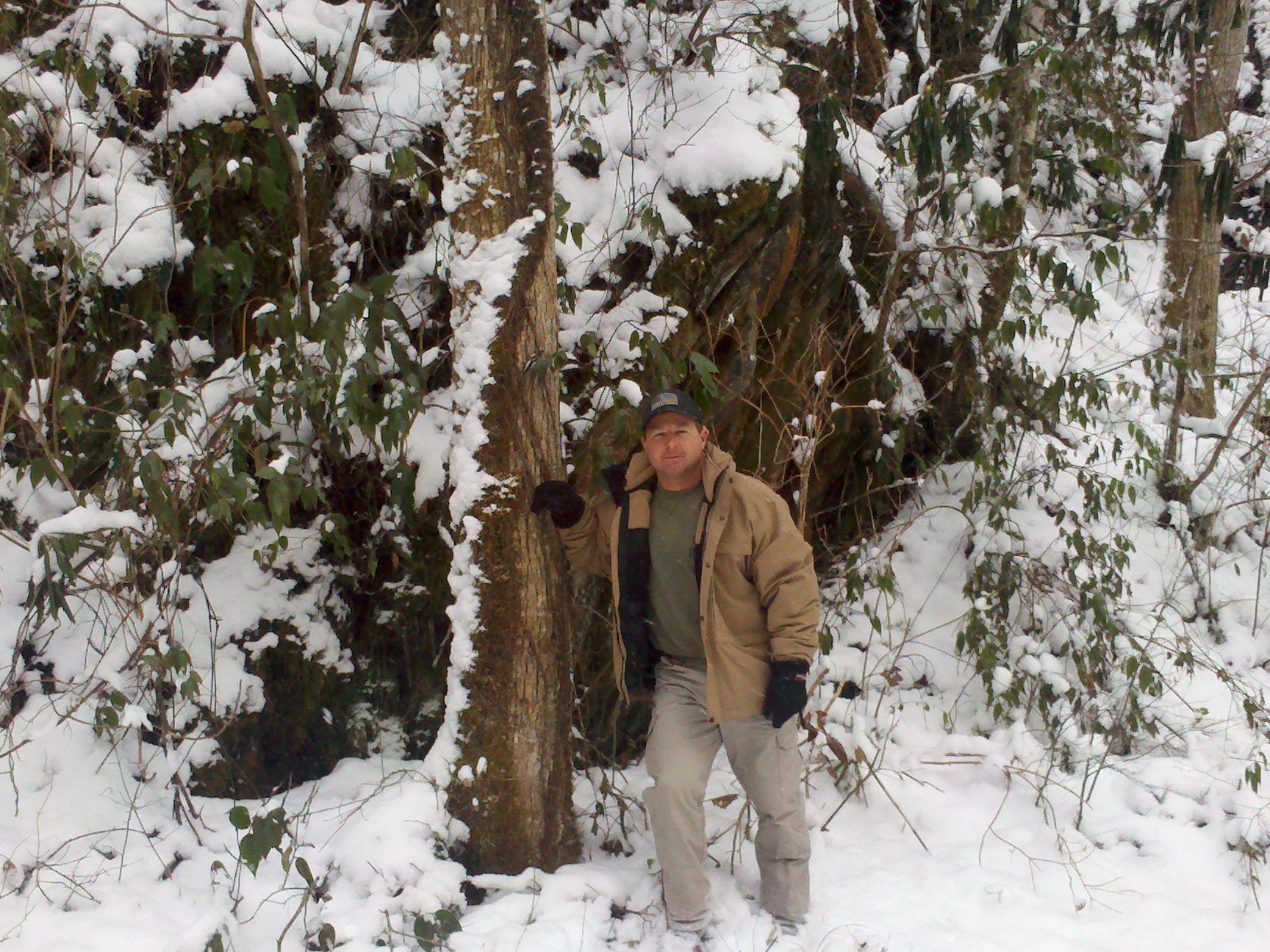 Jan 2011, Great Smoky Mountains National Park.