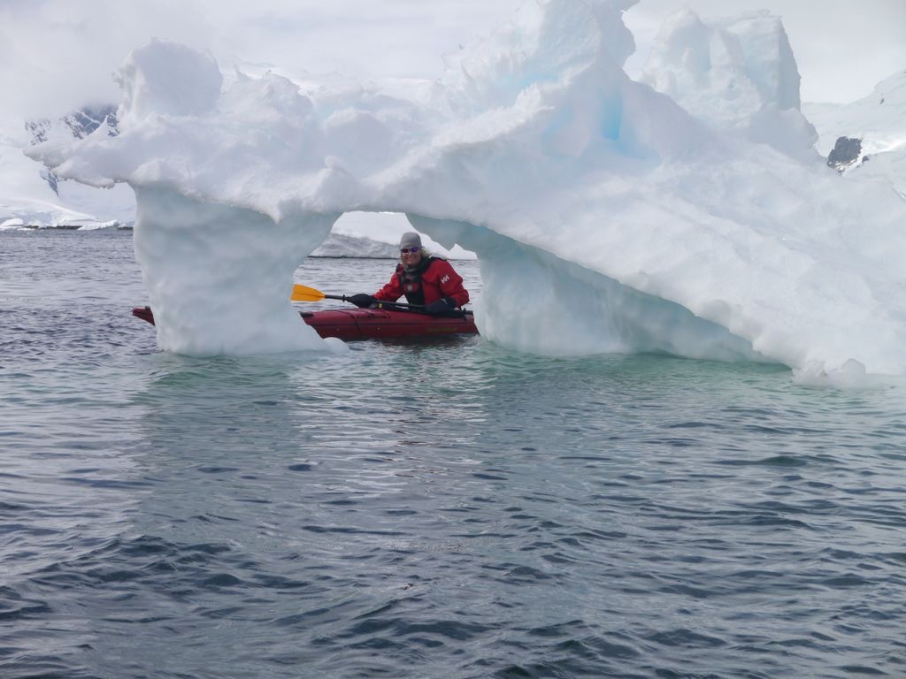 Looking for wildlife in Antarctica