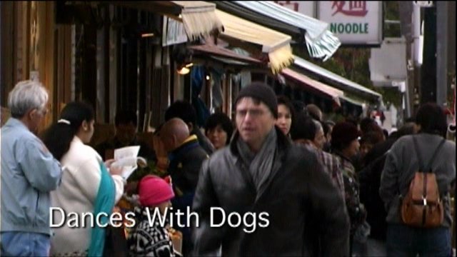 DANCES WITH DOGS (Story/ Director/ Co-Producer) mocumentary Phil Wallace (Jon Gibault) Stewart and Woody (starring dogs) Bravo!FACT CHUM Ltd. - Waking Dream Productions - Whiskey Tango Co-pro