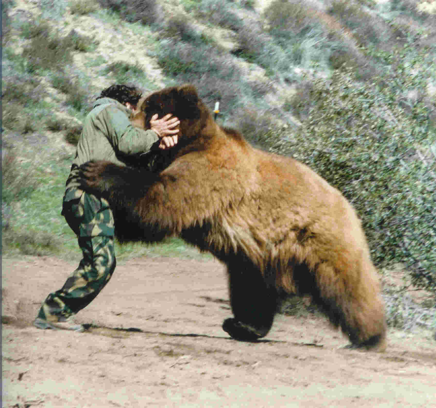 Full Contact with BARNEY BEAR Kodiak Grizzly!