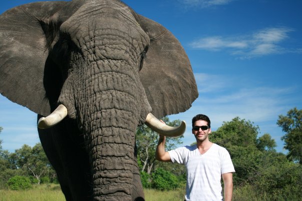 Working in Botswana with elephants.