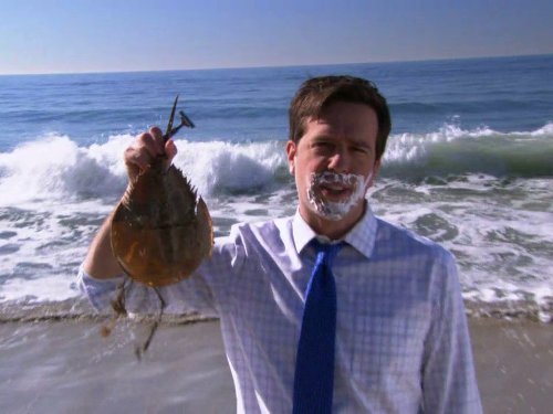 Still of Ed Helms in The Office (2005)