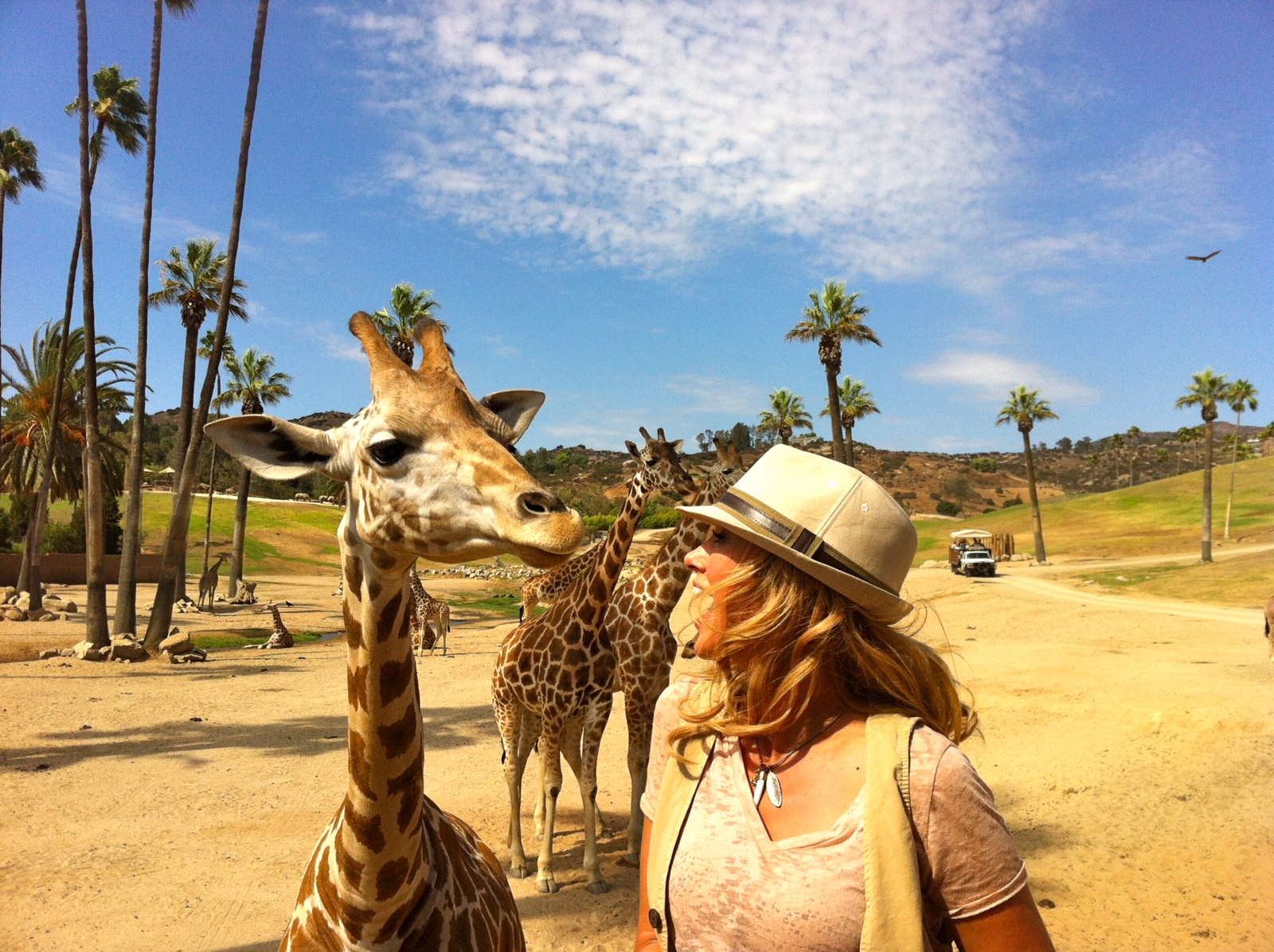 In Giraffe Heaven!!! Filming @The San Diego Safari Park