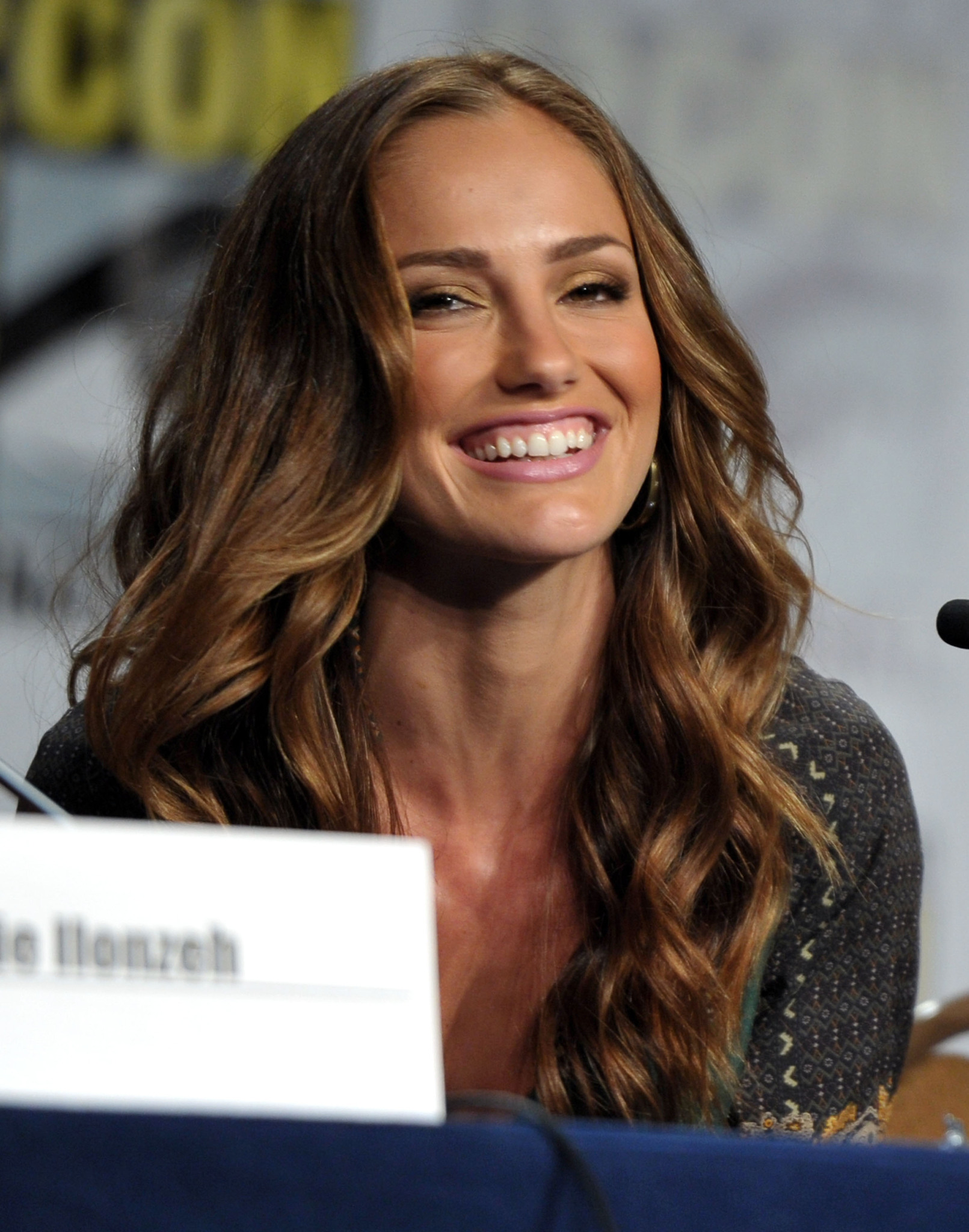 Minka Kelly