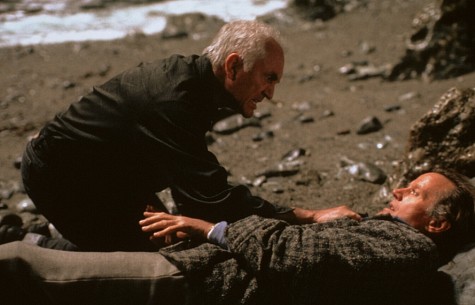 Still of Terence Stamp and Peter Fonda in The Limey (1999)