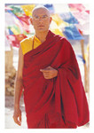 Denzil Smith as Lama Norbu in Paap