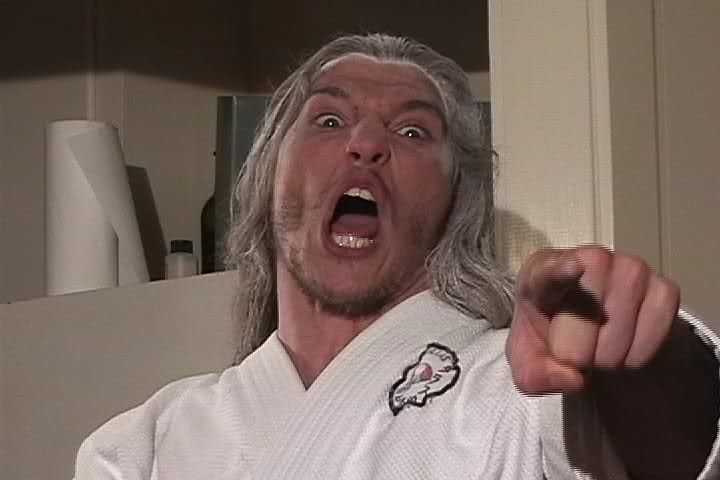 Laurence Maher as Wise Kung Fu Larry in the TV comedy show ONE CHEAP MOVE