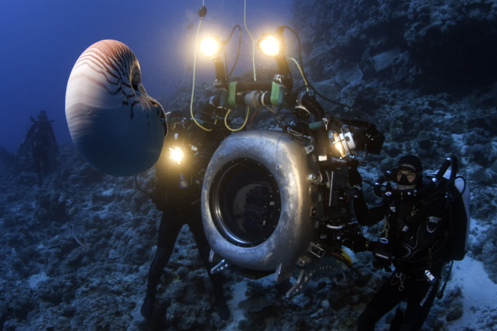 Still of Peter Kragh in Under the Sea 3D (2009)