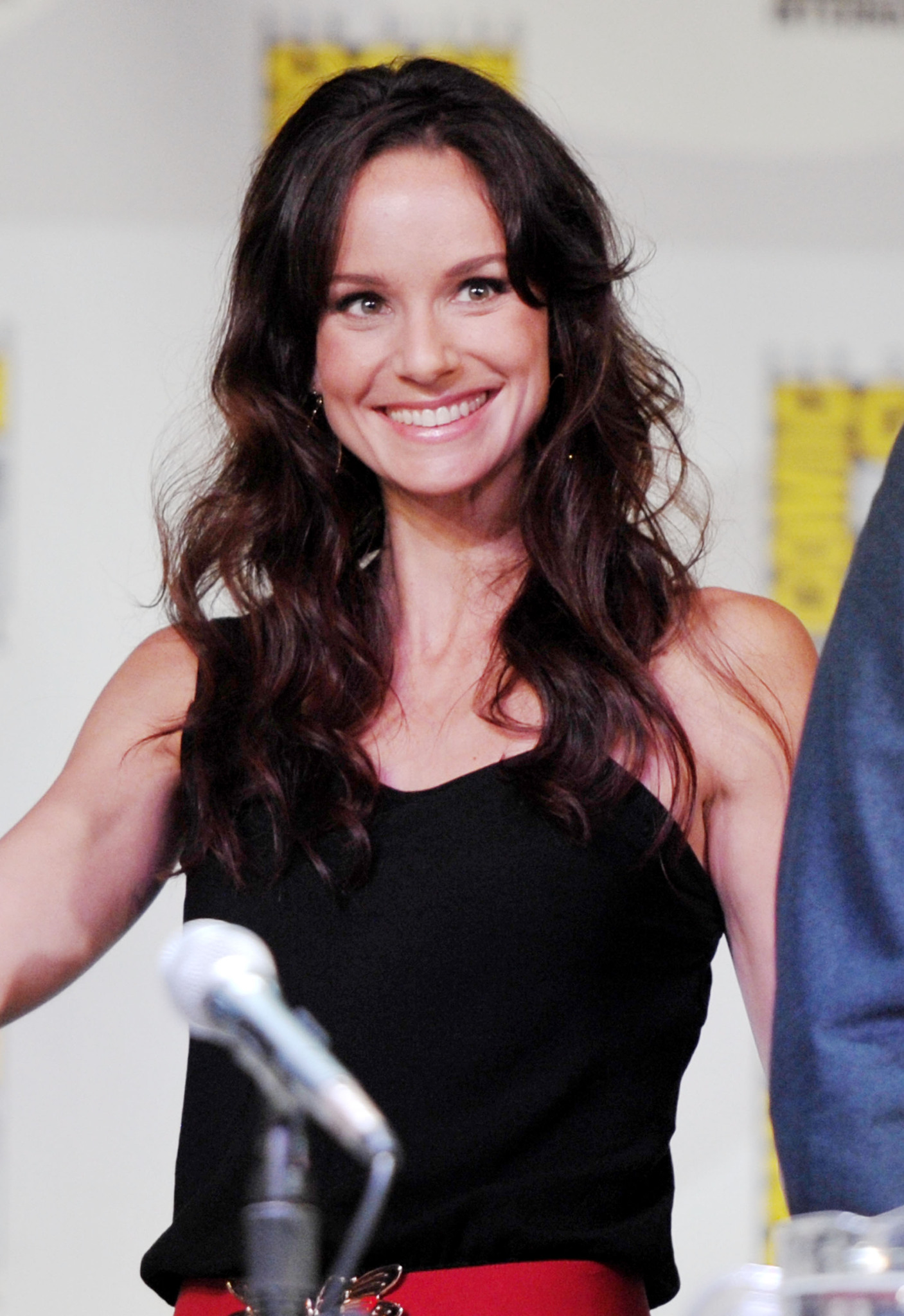 Sarah Wayne Callies