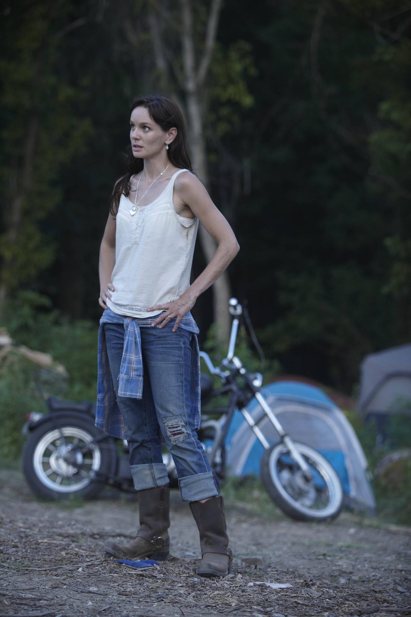 Still of Sarah Wayne Callies in Vaiksciojantys negyveliai (2010)