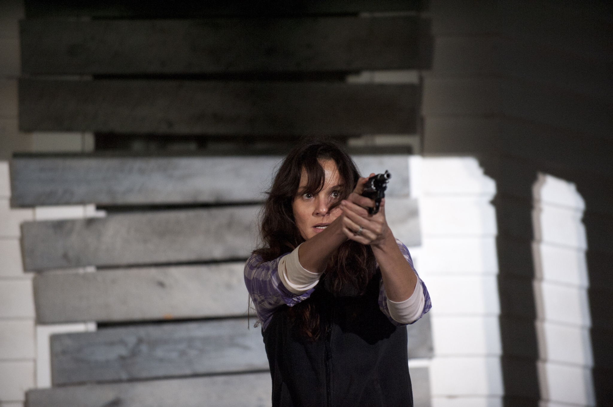 Still of Sarah Wayne Callies in Vaiksciojantys negyveliai (2010)