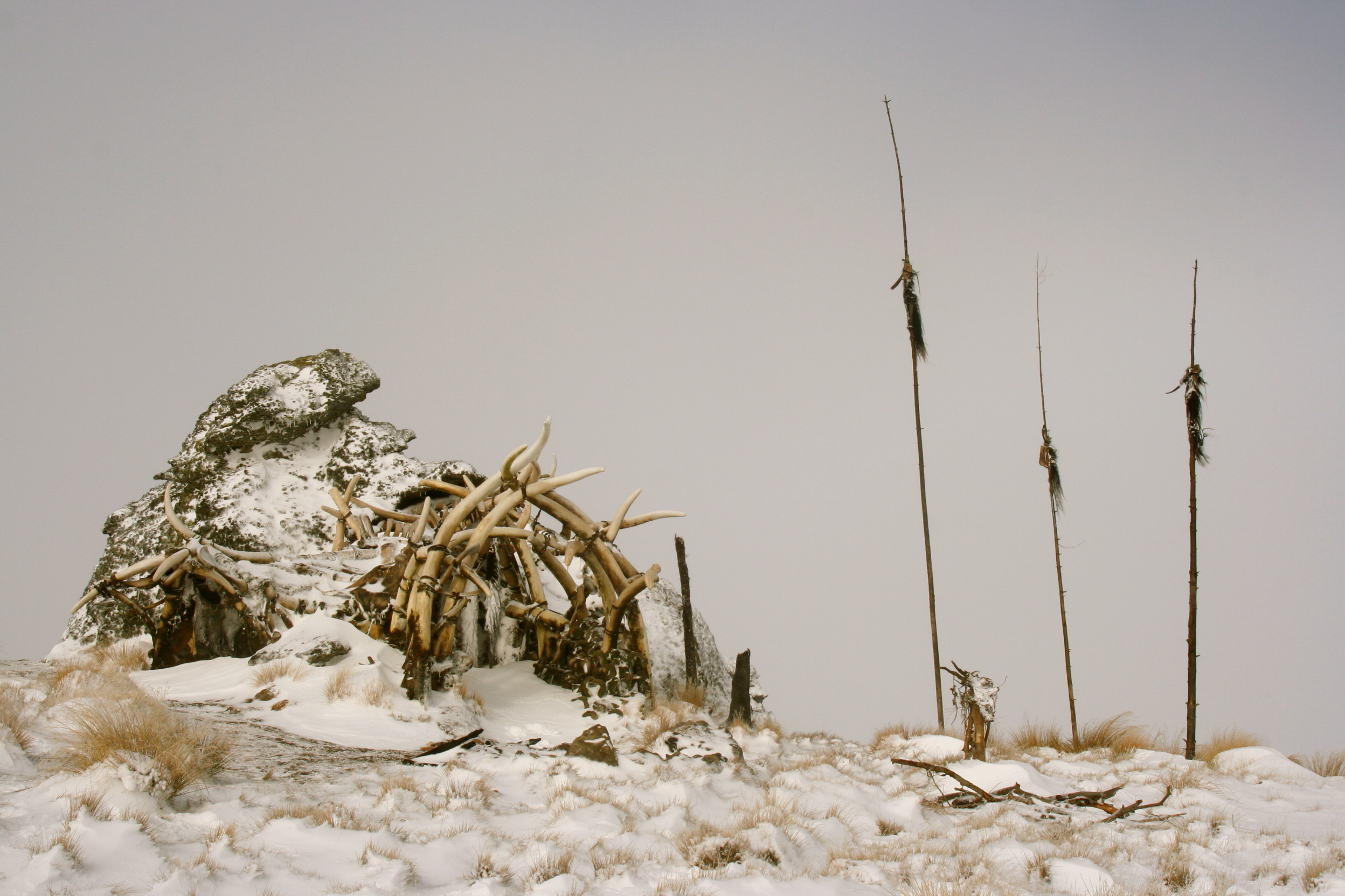 Tic Tic's Hut, 10 000 BC