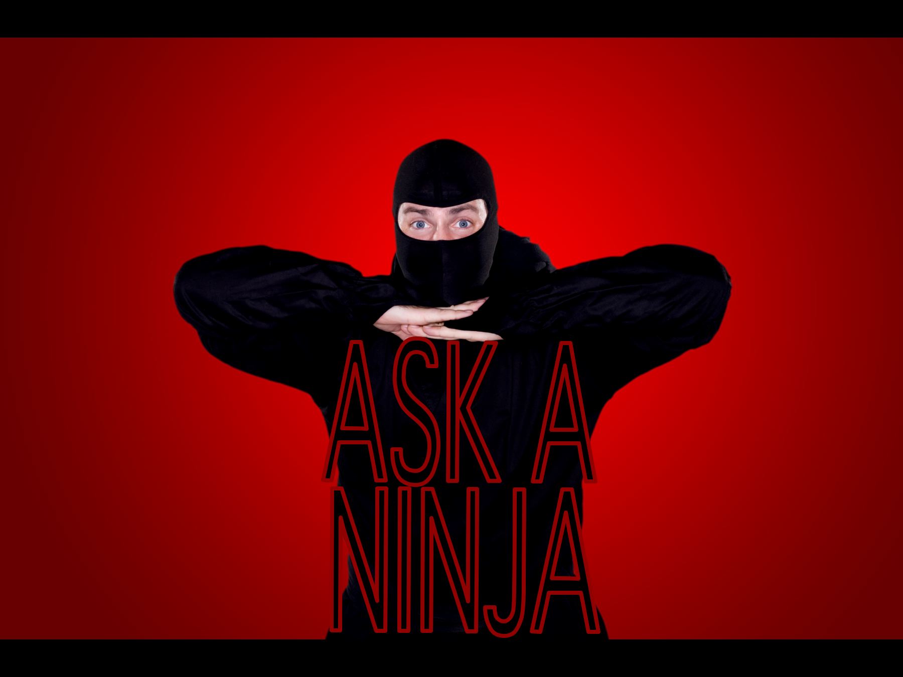 The Ask A Ninja Ninja