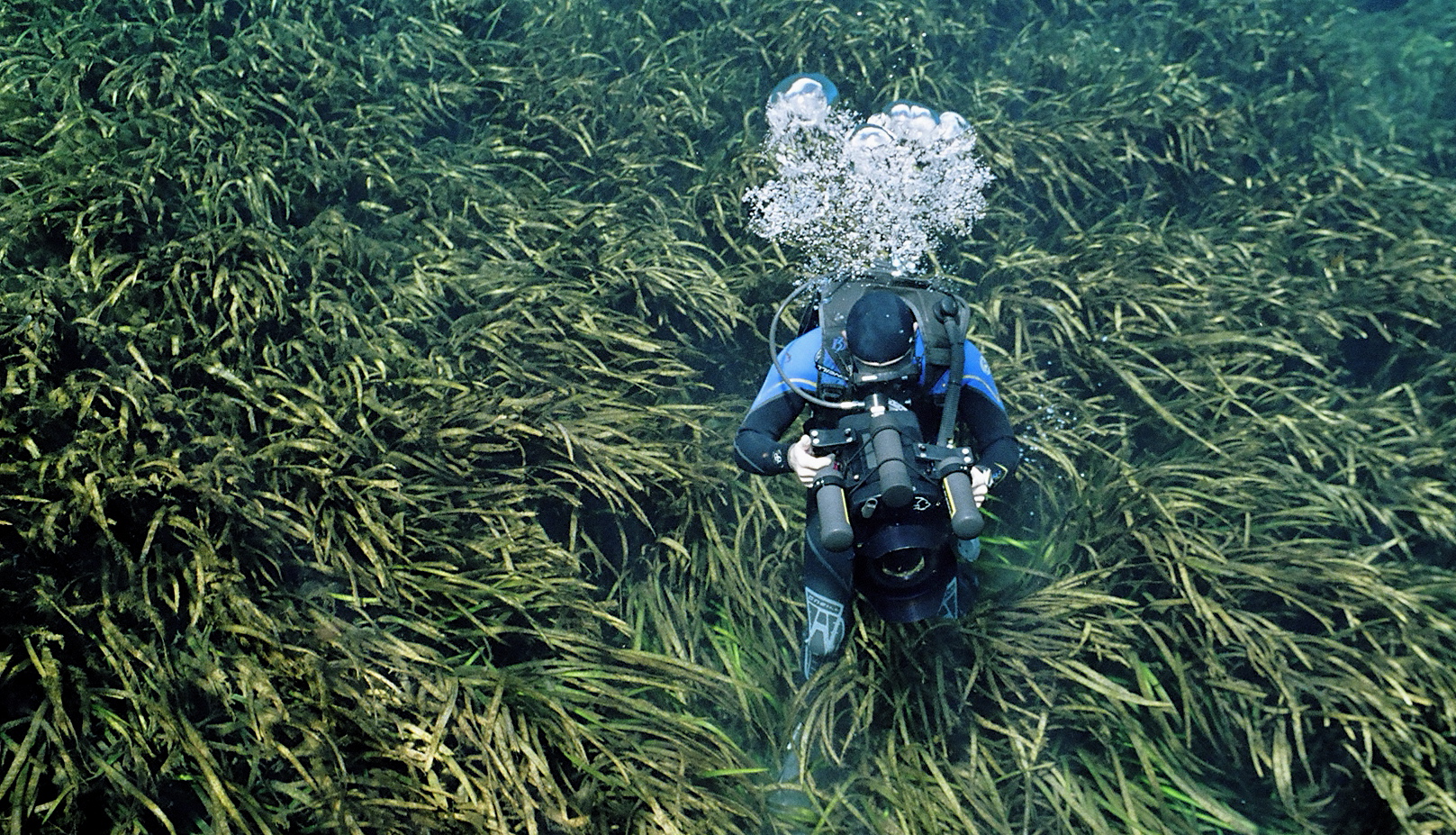 Tom underwater in Silver Springs, Florida