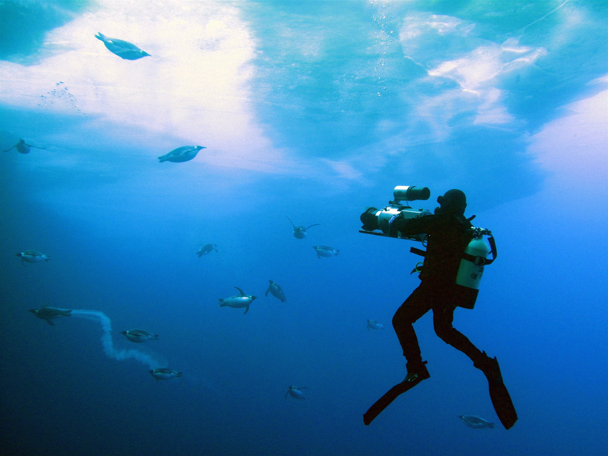 Still of Didier Noirot in Frozen Planet (2011)