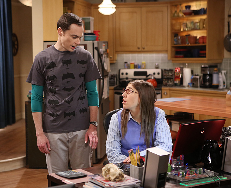 Still of Mayim Bialik and Jim Parsons in Didziojo sprogimo teorija (2007)