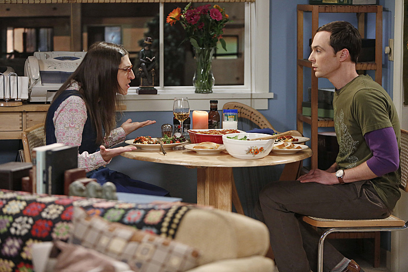 Still of Mayim Bialik and Jim Parsons in Didziojo sprogimo teorija (2007)