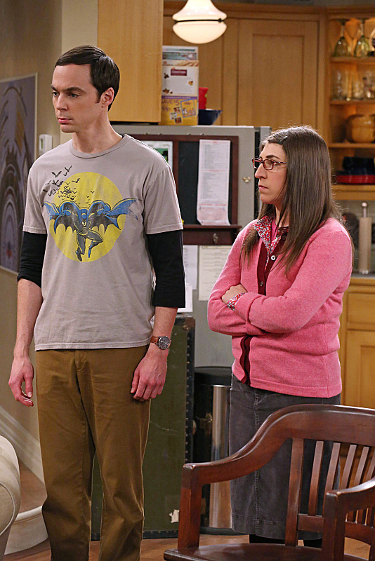 Still of Mayim Bialik and Jim Parsons in Didziojo sprogimo teorija (2007)