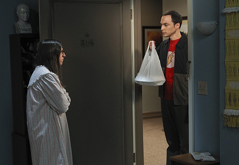 Still of Mayim Bialik and Jim Parsons in Didziojo sprogimo teorija (2007)