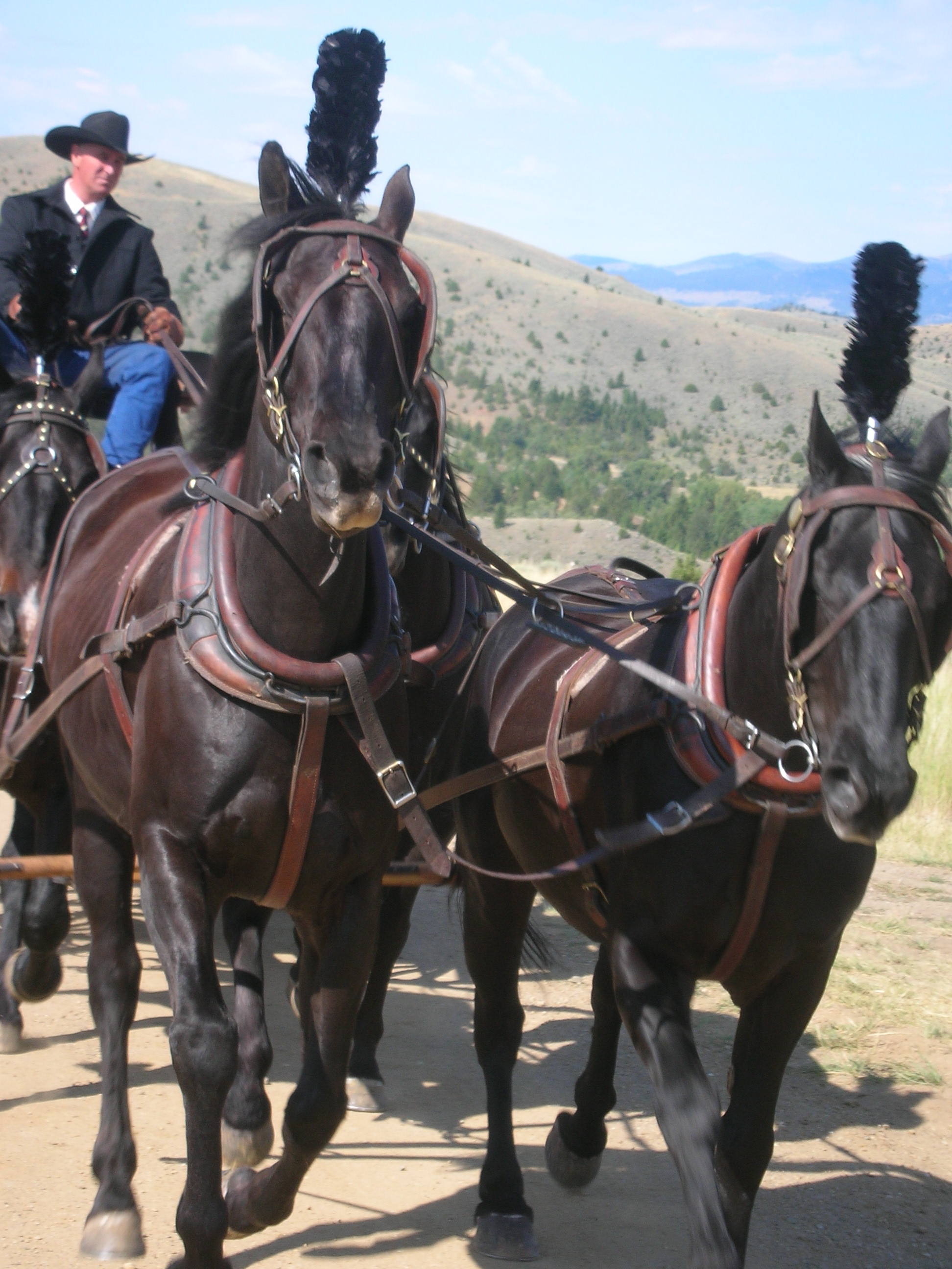 Taking Chance - on location - funeral scene