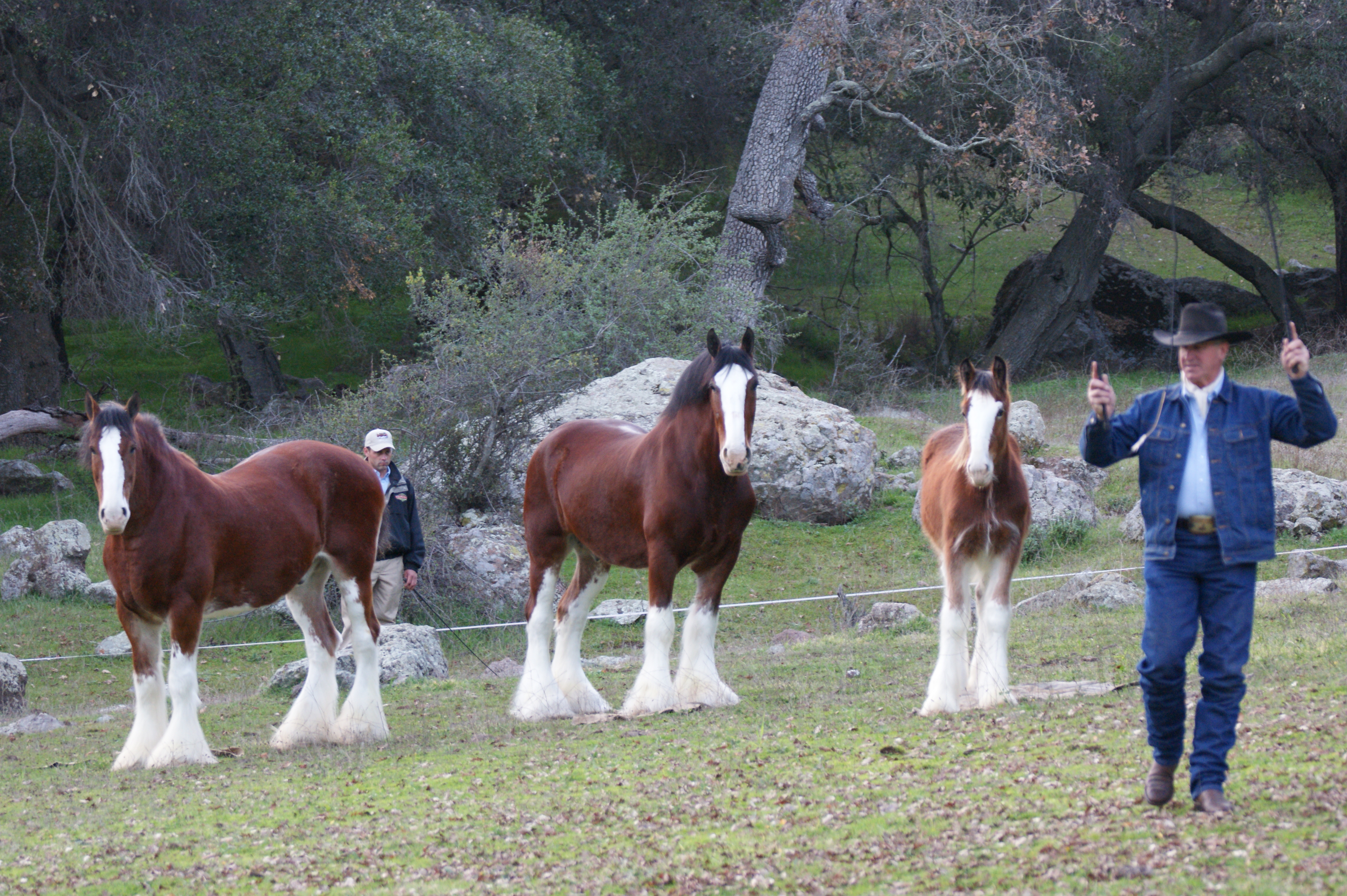 Robin and his students on set for Budweiser in California