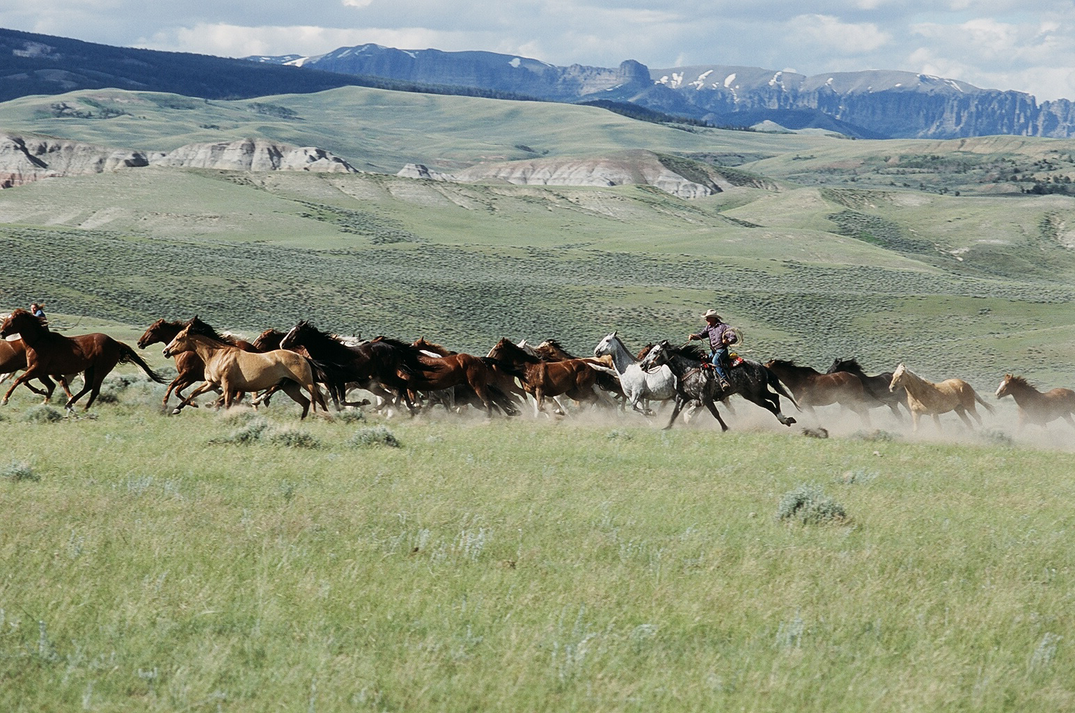 Robin and his horses at Turtle Ranch