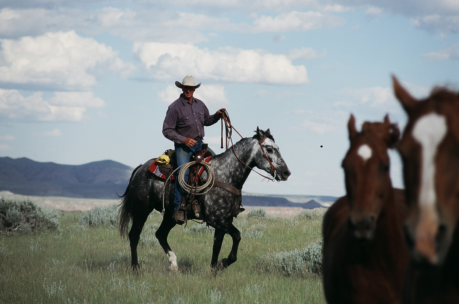 Robin on Sam at Turtle Ranch