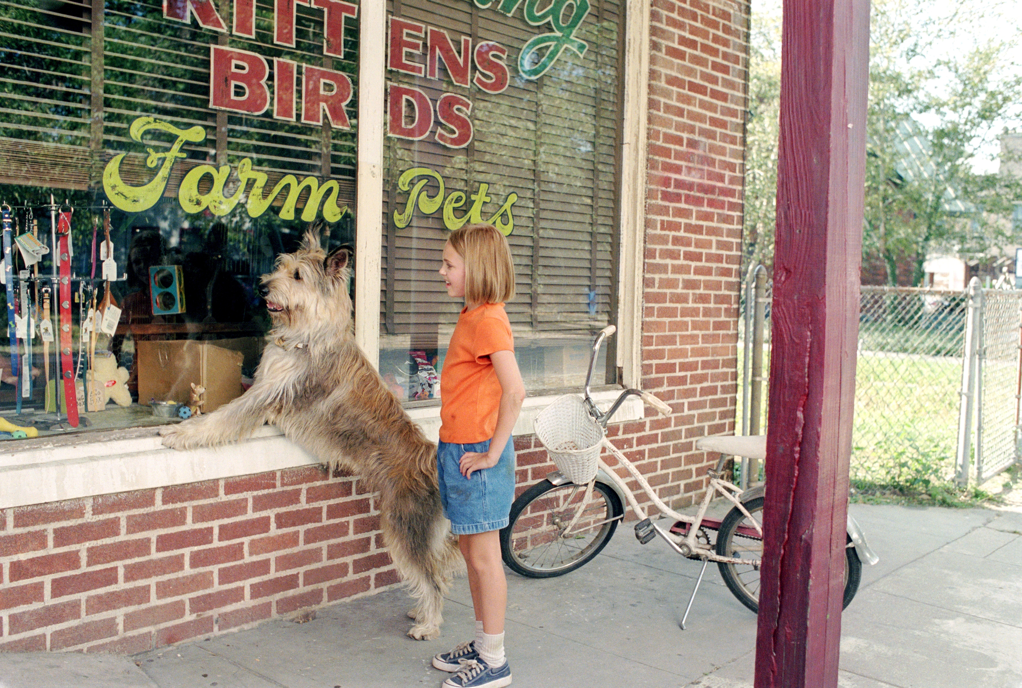 Still of AnnaSophia Robb in Because of Winn-Dixie (2005)