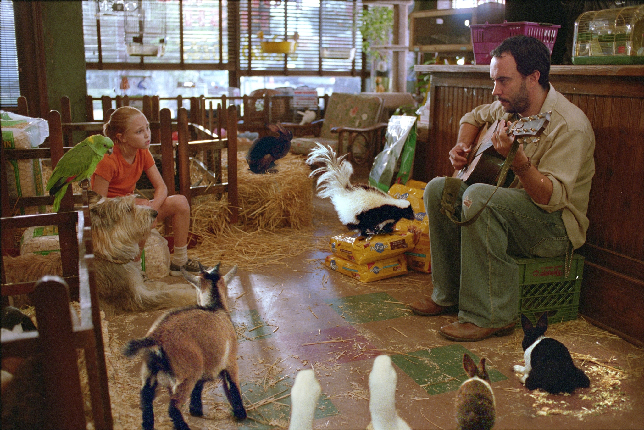 Still of Dave Matthews and AnnaSophia Robb in Because of Winn-Dixie (2005)