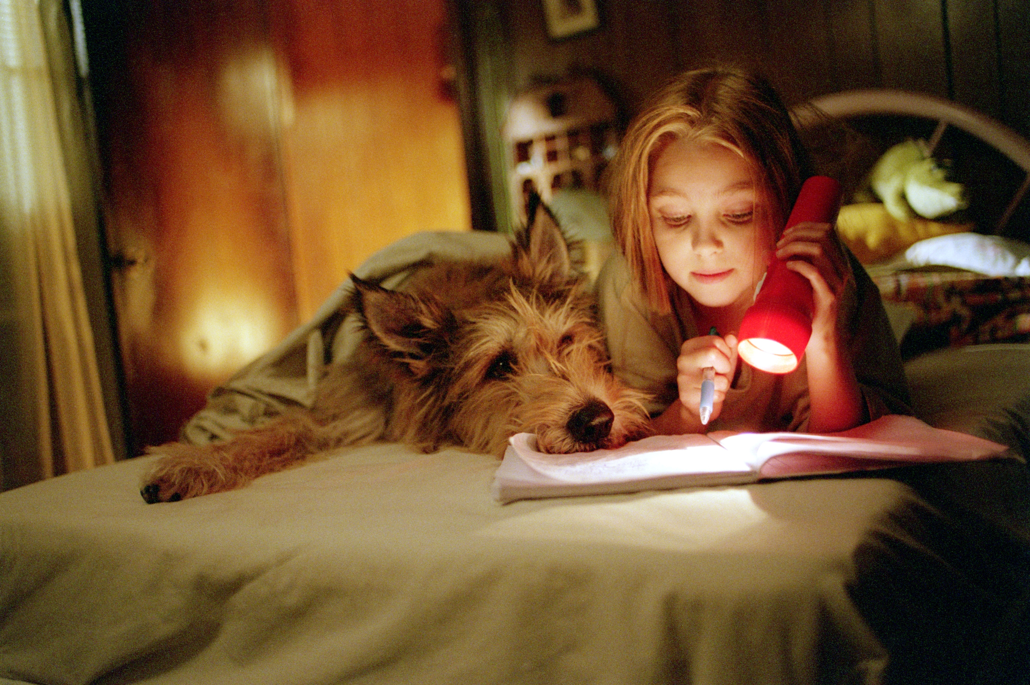 Still of AnnaSophia Robb in Because of Winn-Dixie (2005)